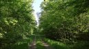 Bois de Cramare